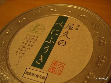 べにふうき_e0195403_21181451.jpg
