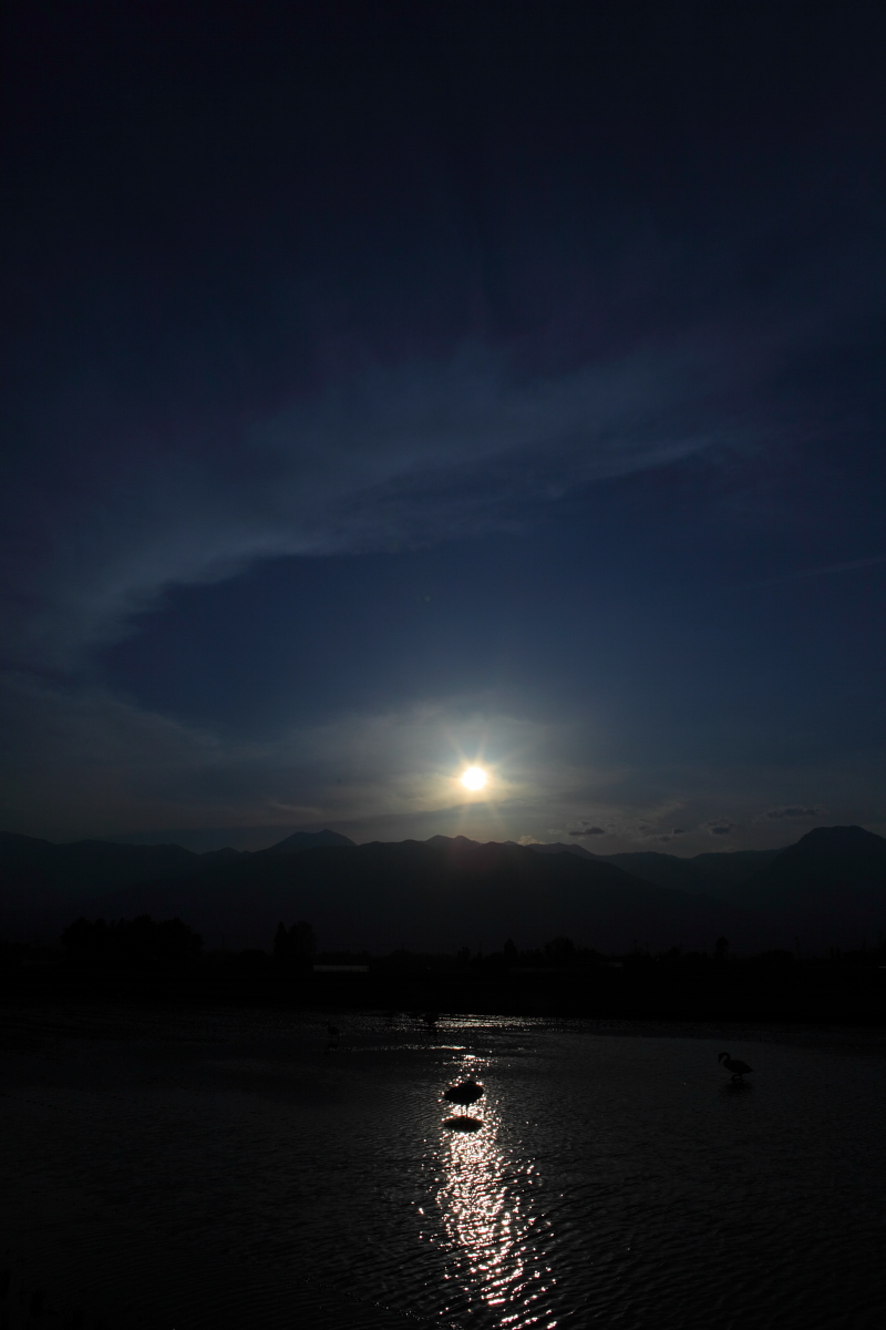 a0155104_13133978.jpg