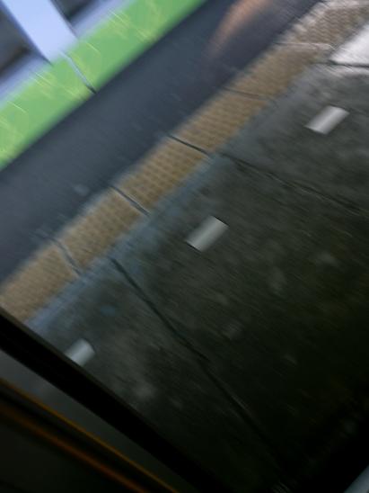 f0155808_7564717.jpg