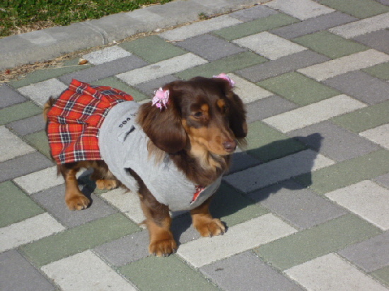 c0097309_20392186.jpg