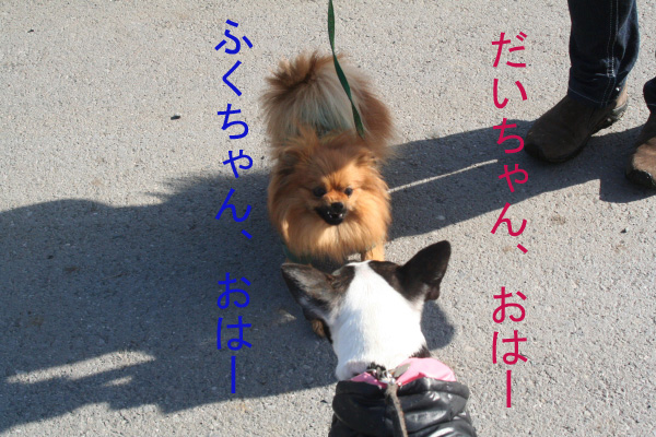 f0186509_2242796.jpg