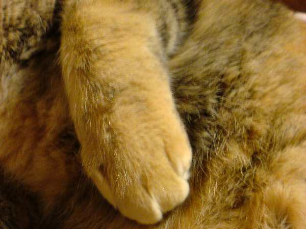 e0144012_0382080.jpg