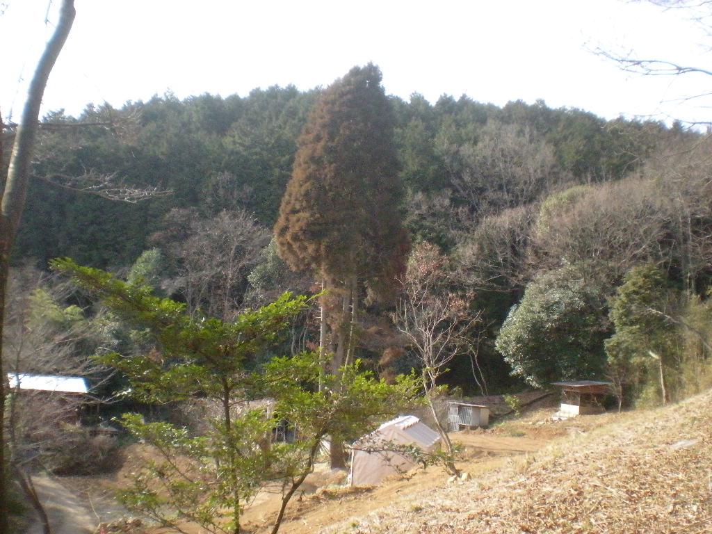 開拓ウーフ~~_a0125419_023354.jpg