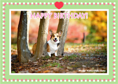 もえちゃん、アーサーくん、オリーブちゃん、お誕生日おめでとう♪_d0102523_11175961.jpg