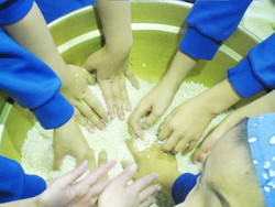 北新庄小学校3年生の子供達がみそづくりを体験しました_e0061225_107348.jpg