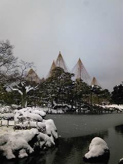 雪の兼六園_e0050226_1654936.jpg