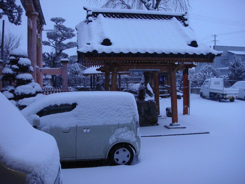 ひえぇ~~_c0111229_17363826.jpg