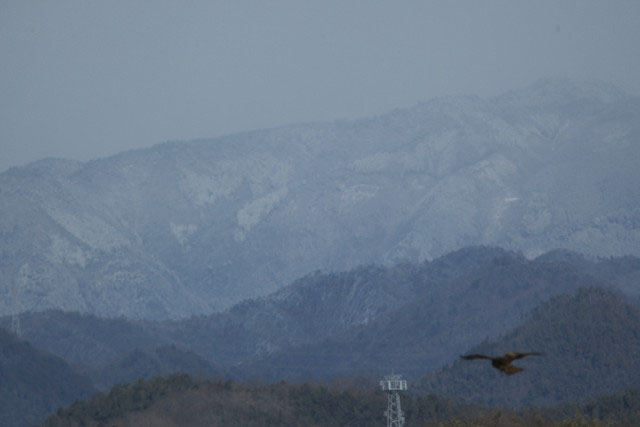 強い季節風です、但馬は大雪！_b0160331_16521192.jpg