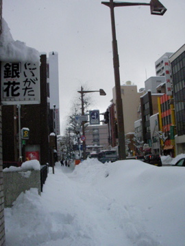 雪の日 2/5 2010_b0162733_1024113.jpg