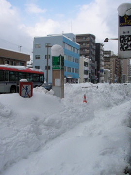 雪の日 2/5 2010_b0162733_10251799.jpg