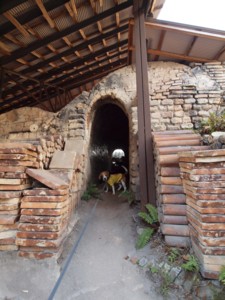 c0119142_60598.jpg