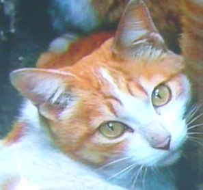 かわいいでしょ?_f0002743_14122593.jpg
