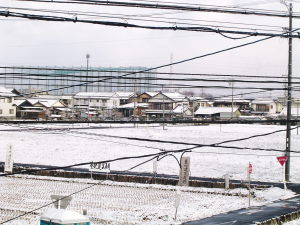 b0107544_2030102.jpg