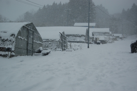 c0217246_1649923.jpg