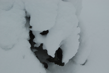 c0217246_16531462.jpg