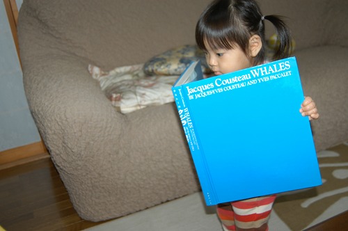 c0180460_424179.jpg