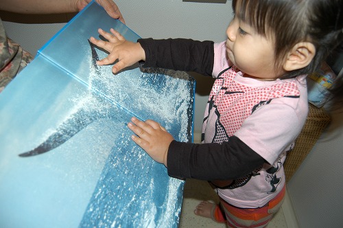 c0180460_4251710.jpg