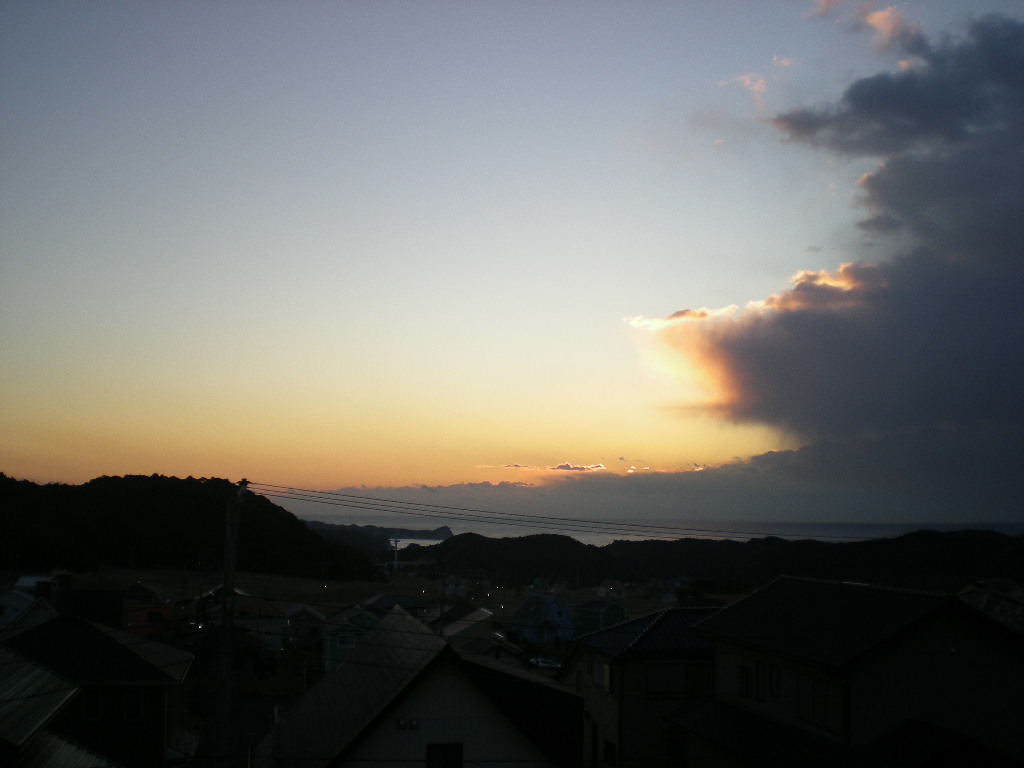 2010年2月6日(土)さぶ~い!夏が恋しい!_f0060461_13514781.jpg