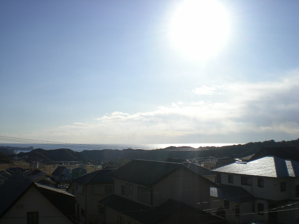 2010年2月6日(土)さぶ~い!夏が恋しい!_f0060461_1355485.jpg
