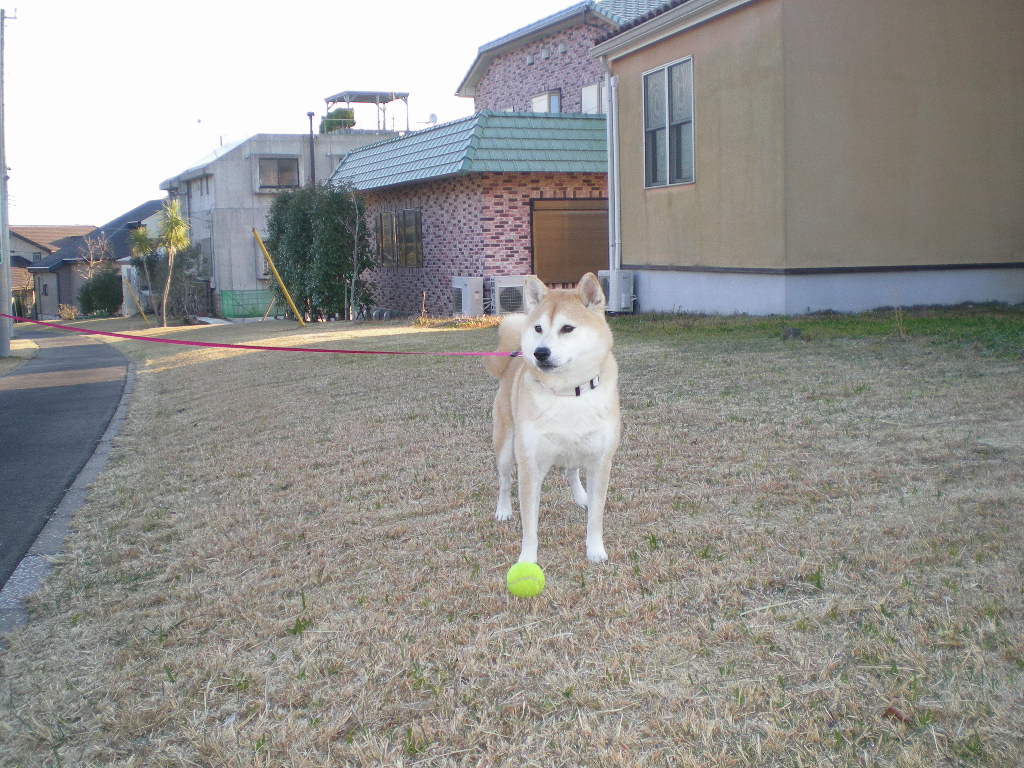 2010年2月6日(土)さぶ~い!夏が恋しい!_f0060461_13571382.jpg