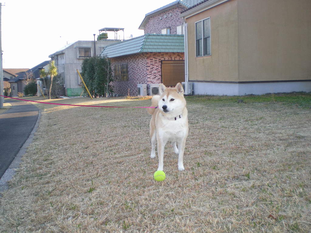 ２０１０年２月６日（土）さぶ～い！夏が恋しい！_f0060461_13571382.jpg