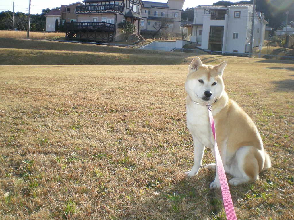 ２０１０年２月６日（土）さぶ～い！夏が恋しい！_f0060461_1401950.jpg