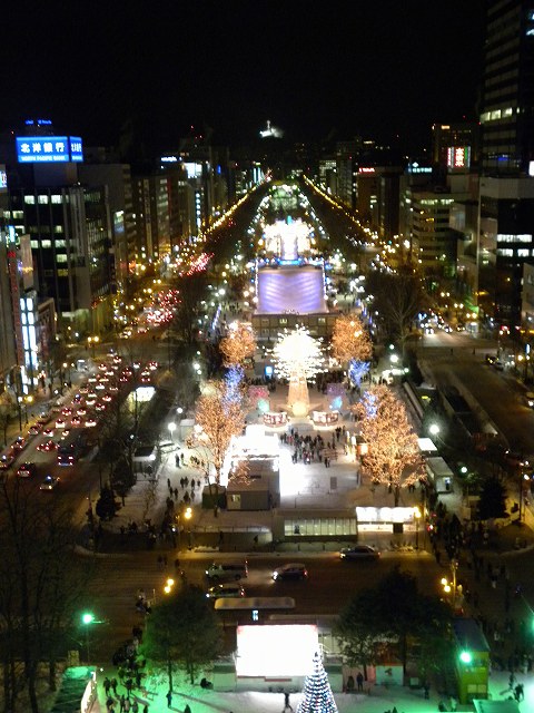 第６１回「札幌雪祭り開催される」_e0122168_2116478.jpg