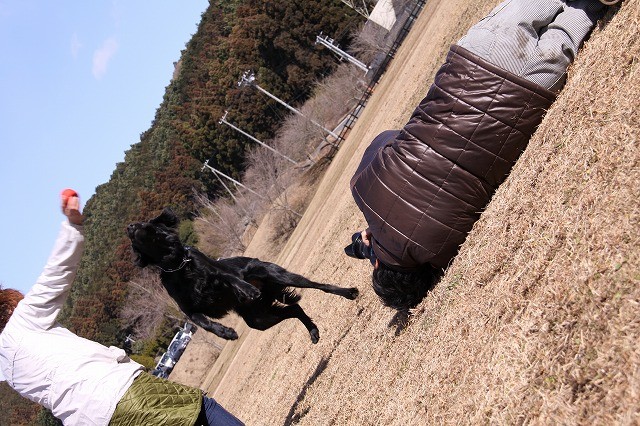 おりこうちゃぁ～ん❤　　　　　【追記】レトパパの撮った写真を追加しました_d0116574_18183926.jpg