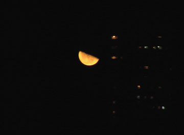 f0207074_212222.jpg