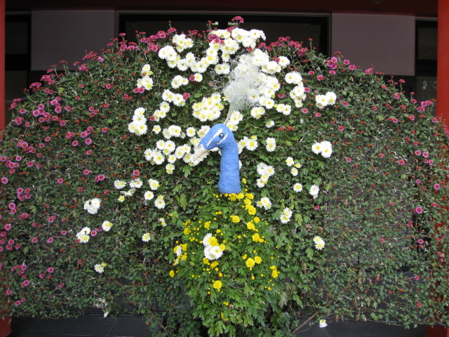 c0209377_21403348.jpg