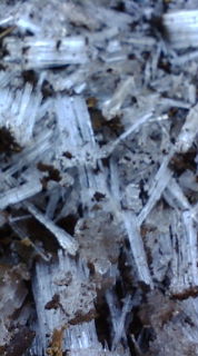 f0004180_2254348.jpg