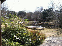 c0078592_9281947.gif