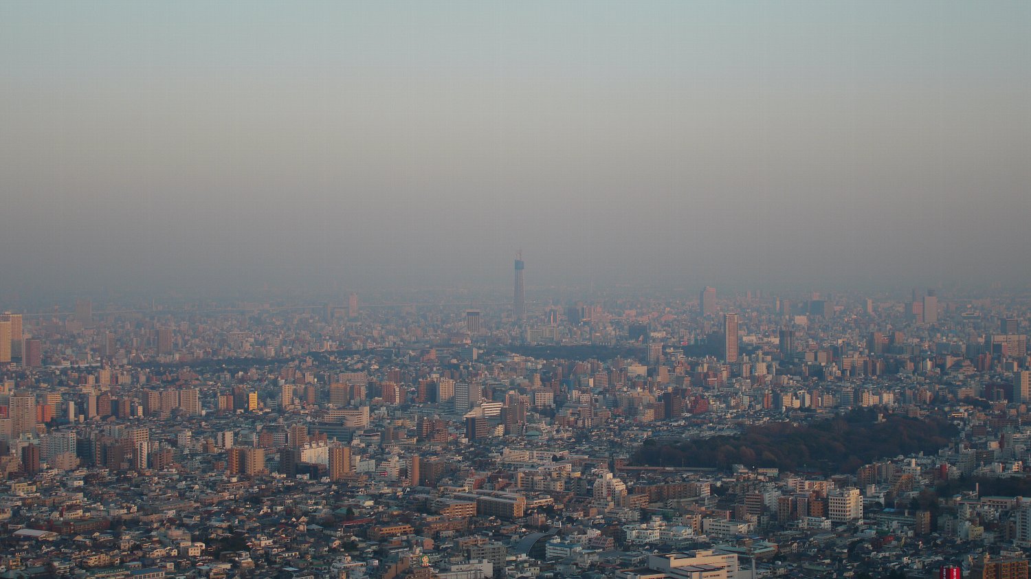 ようこそ、デュラララな街へ_c0124795_1142784.jpg