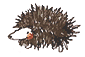 c0204298_902446.gif