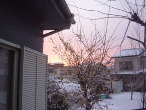 b0135601_855875.jpg