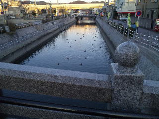 e0063902_193446100.jpg