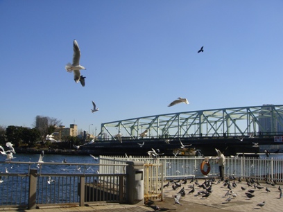 a0167803_14462512.jpg