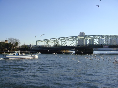 a0167803_156499.jpg