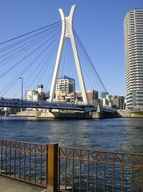 a0167803_1595726.jpg