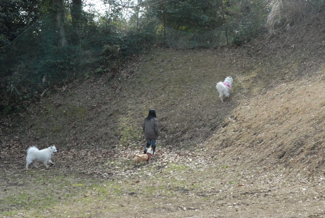 休日おなじみ　　　　2月6日　[土]_e0018604_11543276.jpg