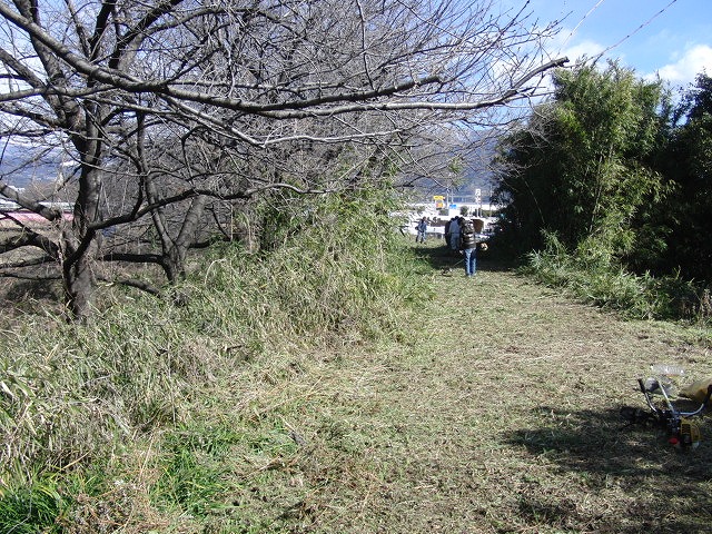ついに貫通!滝川堤防の遊歩道2.5km_f0141310_23435320.jpg