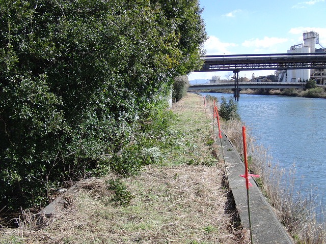 ついに貫通!滝川堤防の遊歩道2.5km_f0141310_23463460.jpg