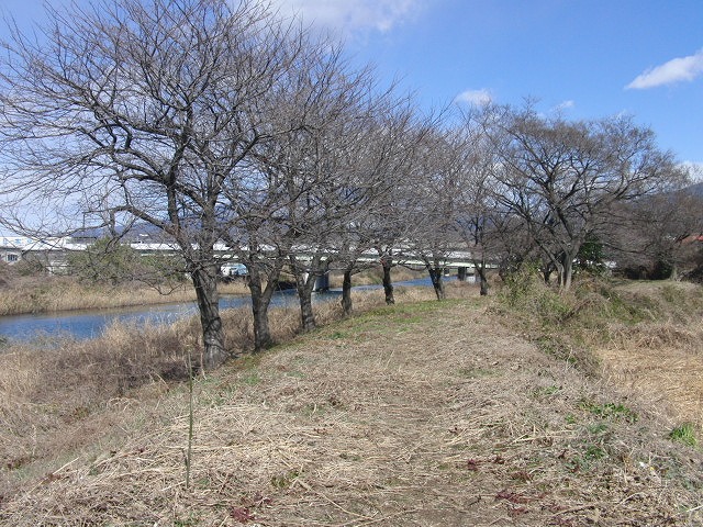 ついに貫通!滝川堤防の遊歩道2.5km_f0141310_23465025.jpg
