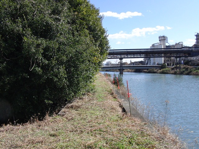 ついに貫通!滝川堤防の遊歩道2.5km_f0141310_2346675.jpg