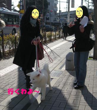 f0121712_0503779.jpg