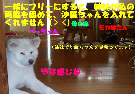 f0121712_8251114.jpg
