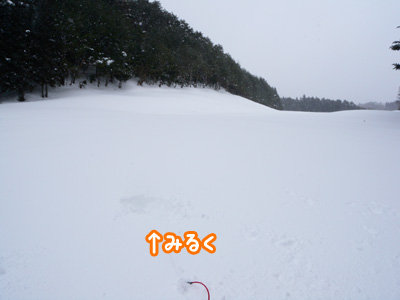 雪もりワンコ運動会♪_f0129214_15541878.jpg