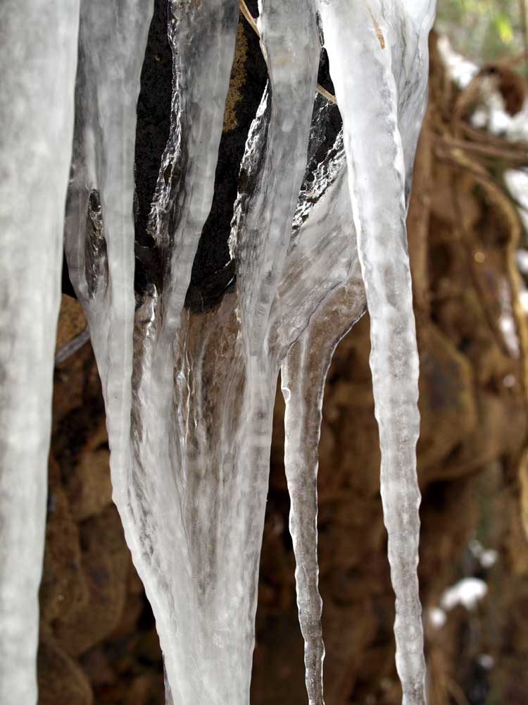 c0145418_21132660.jpg