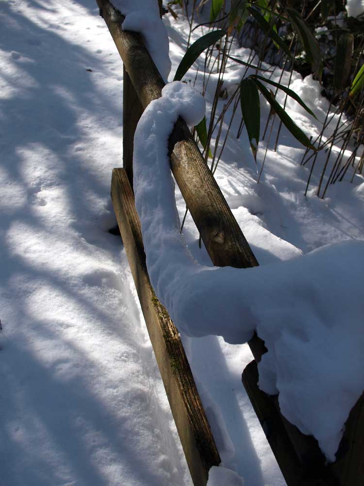 c0145418_21262264.jpg