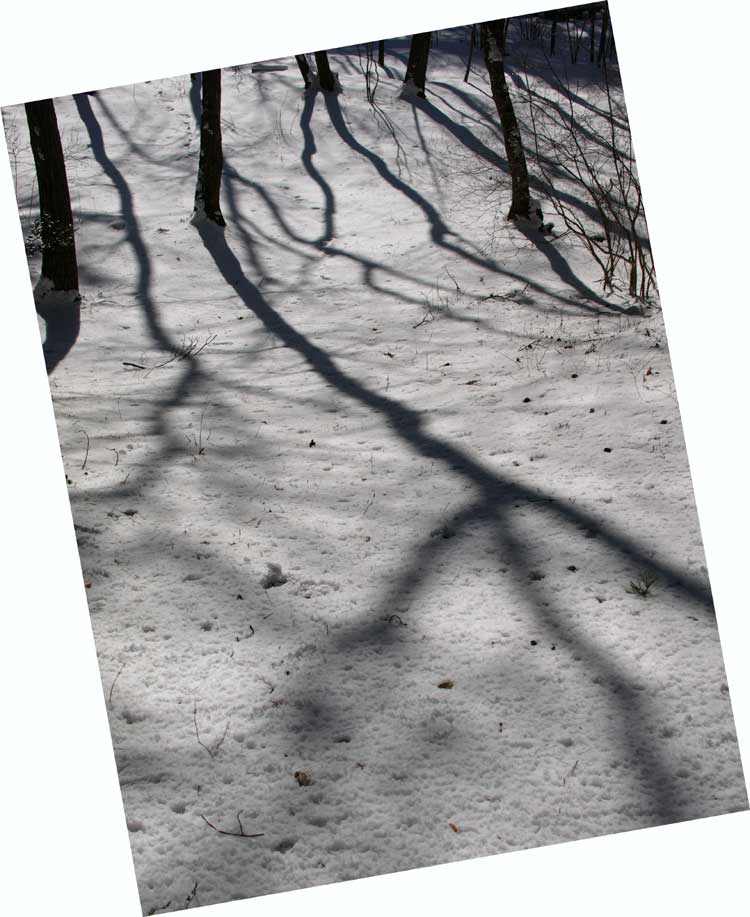 c0145418_21281680.jpg